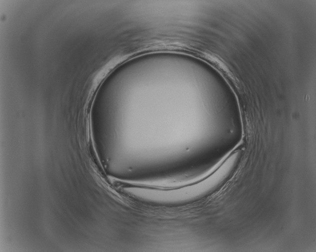 X0000067911371200605041632