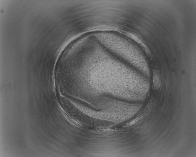 X0000067911372200605041632