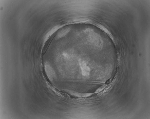 X0000067911373200605041632