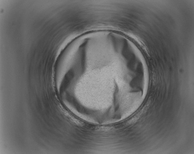 X0000067911374200605041632