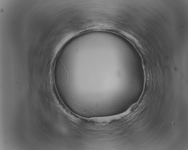 X0000067911375200605041632