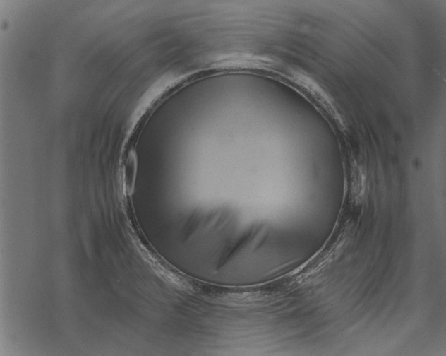 X0000067911376200605041632