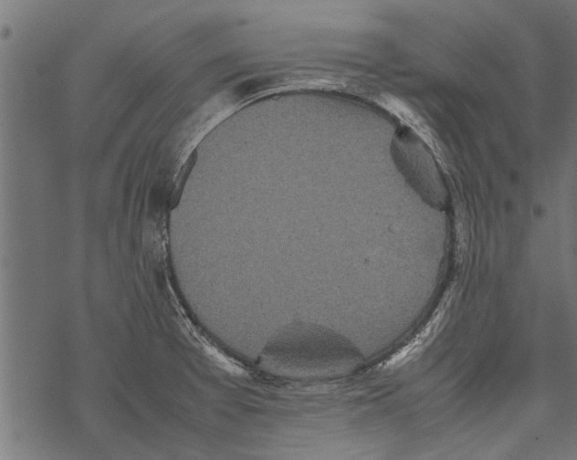 X0000067911377200605041632