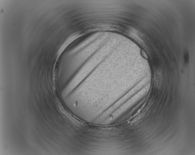 X0000067911378200605041632