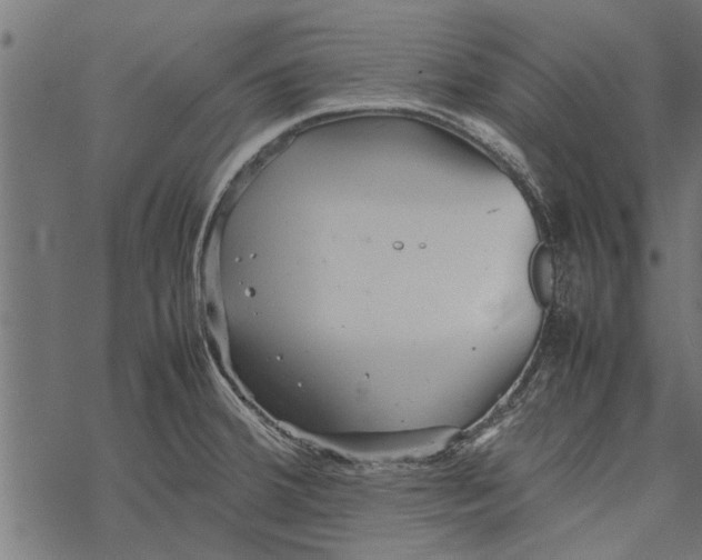 X0000067911380200605041632