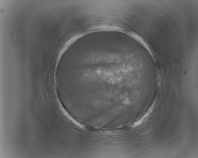 X0000067911381200605041632