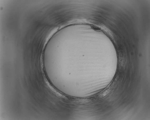 X0000067911382200605041632