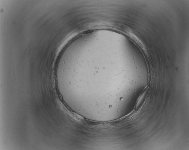 X0000067911384200605041632