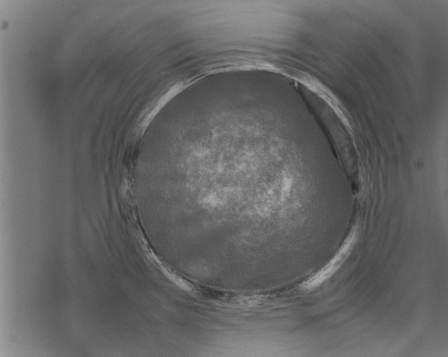 X0000067911385200605041632