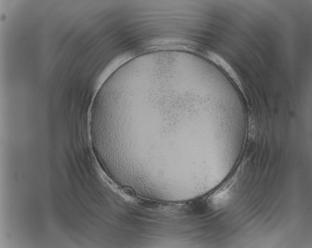 X0000067911386200605041632