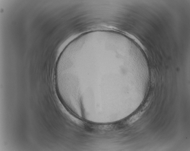 X0000067911387200605041632