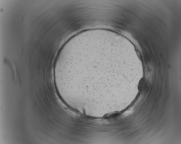 X0000067911388200605041632