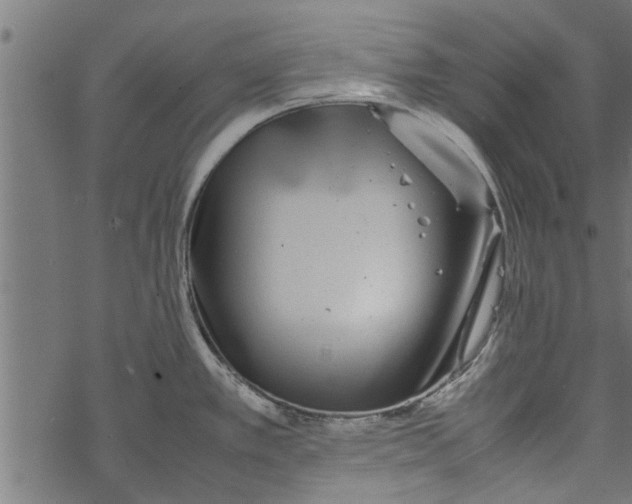 X0000067911389200605041632