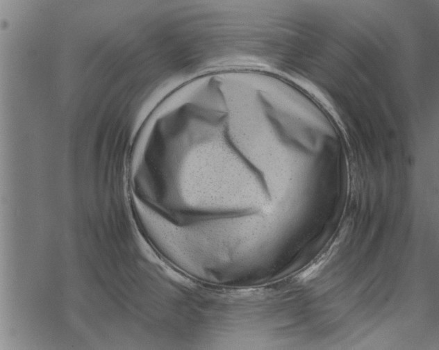 X0000067911390200605041632