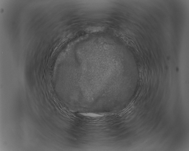 X0000067911393200605041631