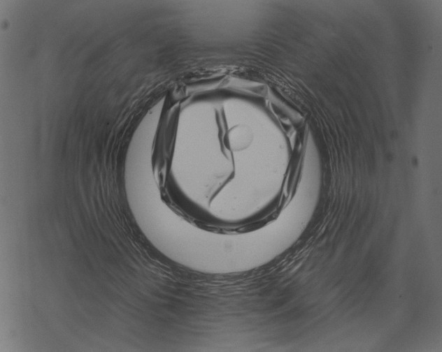 X0000067911394200605041631