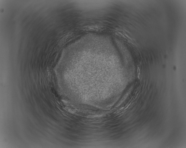 X0000067911395200605041631