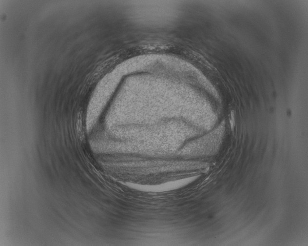 X0000067911396200605041631