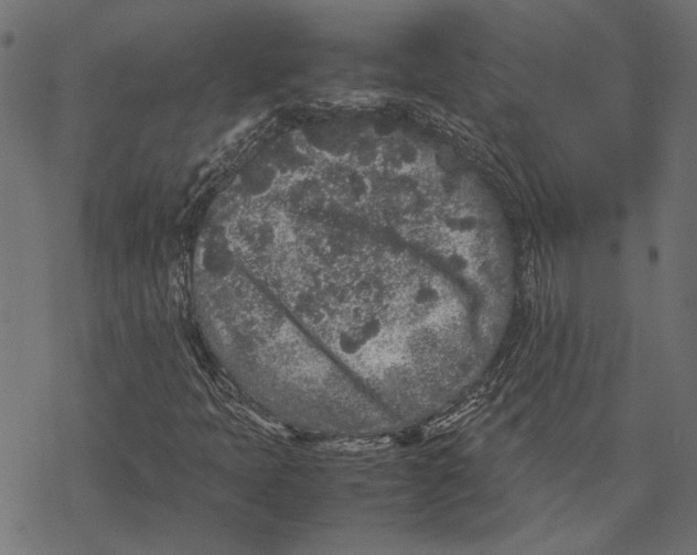 X0000067911397200605041631