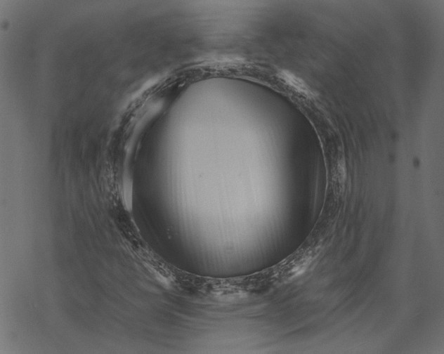 X0000067911398200605041631