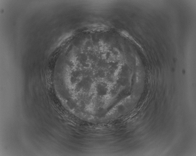 X0000067911399200605041631