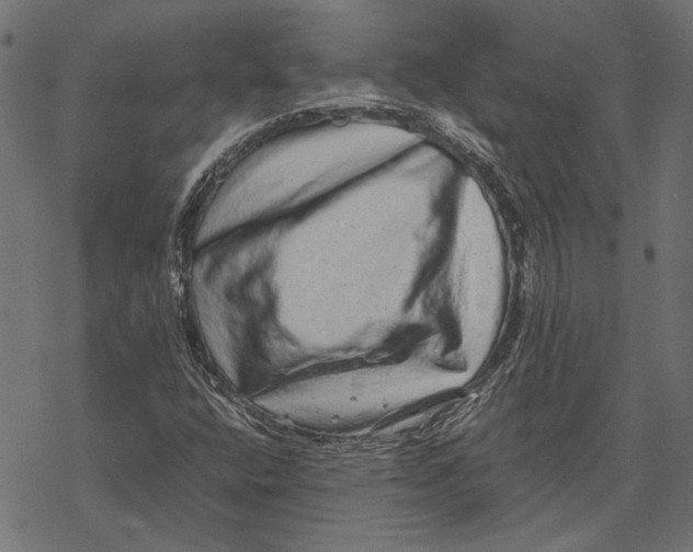 X0000067911400200605041631