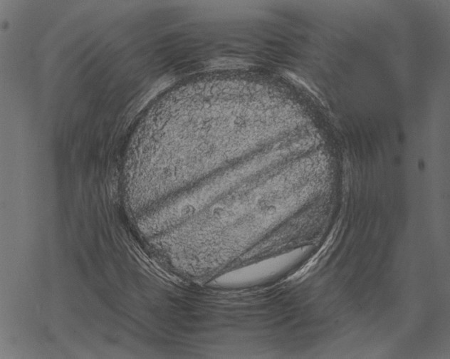 X0000067911401200605041631