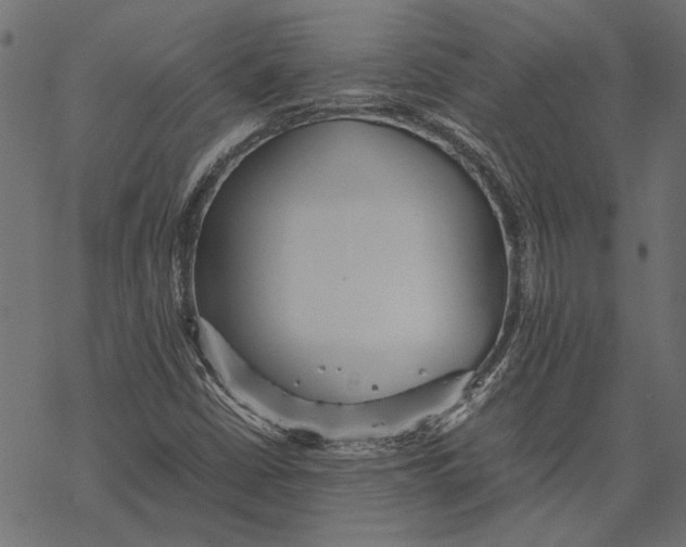 X0000067911402200605041631