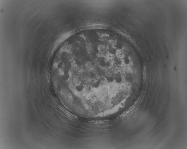 X0000067911405200605041631