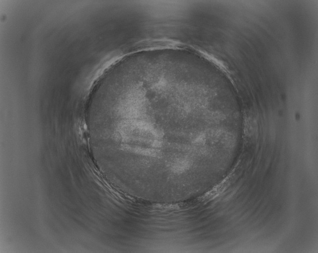 X0000067911407200605041631