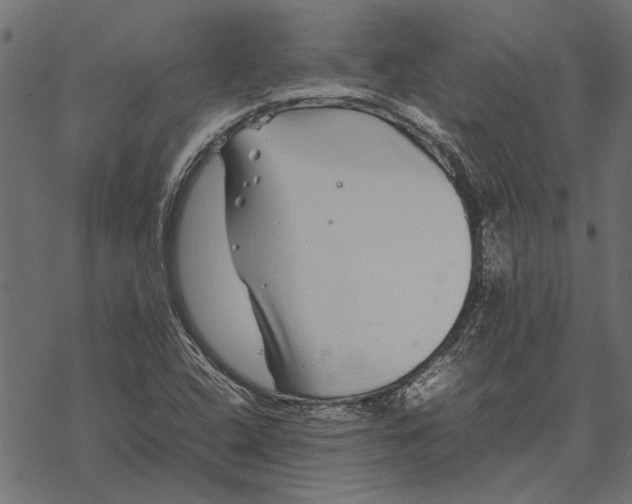 X0000067911408200605041631