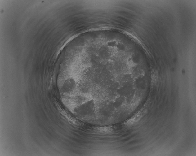 X0000067911409200605041631