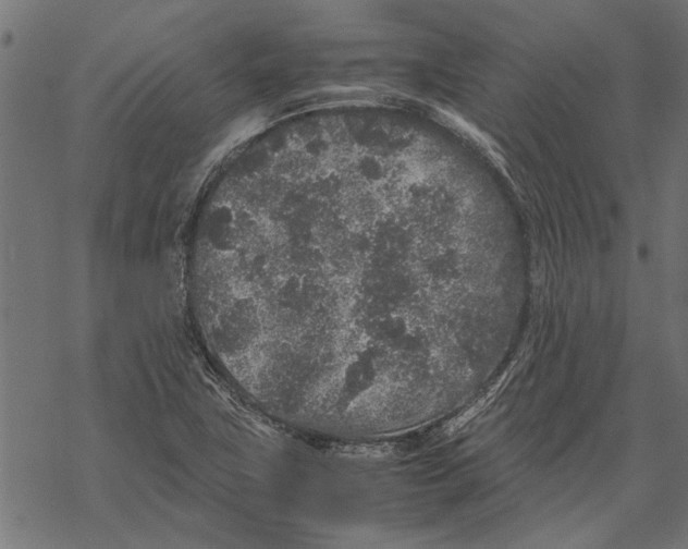 X0000067911411200605041632