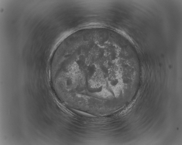 X0000067911413200605041632