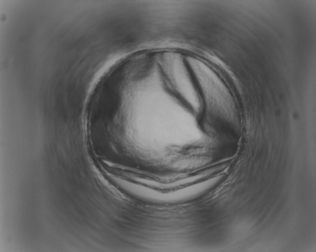 X0000067911416200605041632