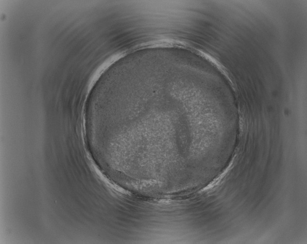 X0000067911418200605041632