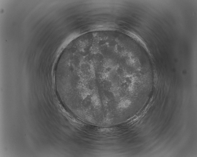 X0000067911419200605041632