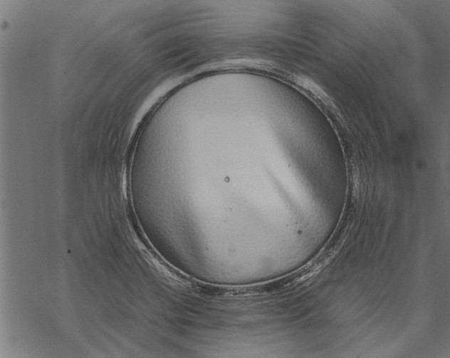 X0000067911420200605041632