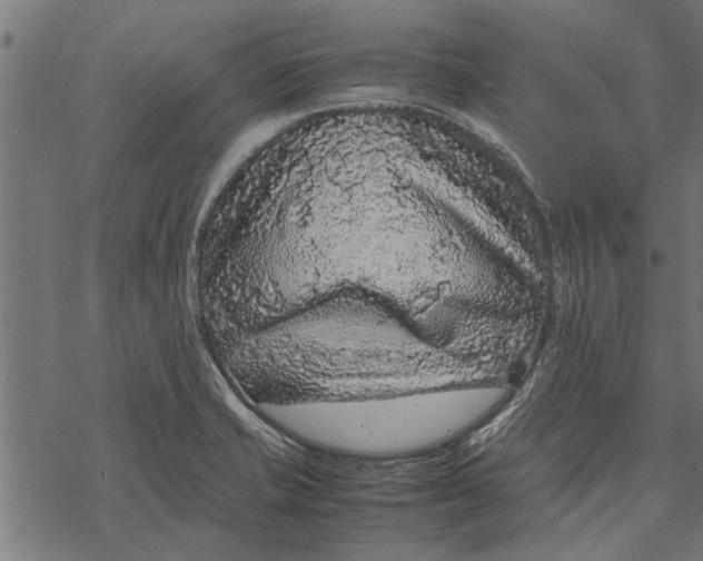 X0000067911421200605041632