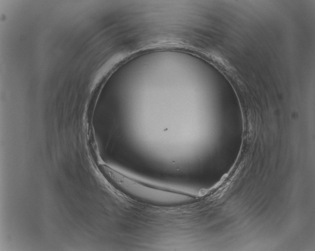 X0000067911422200605041632