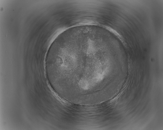 X0000067911423200605041632