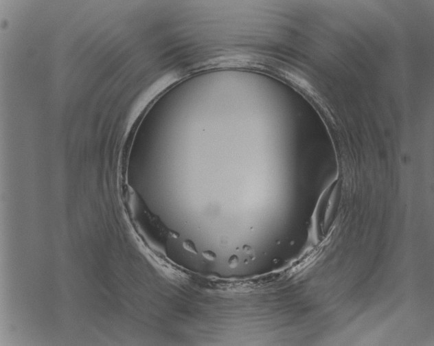 X0000067911426200605041632