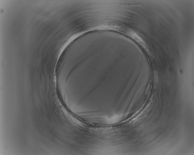 X0000067911428200605041632