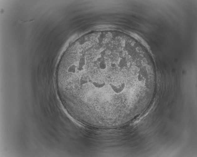 X0000067911429200605041632