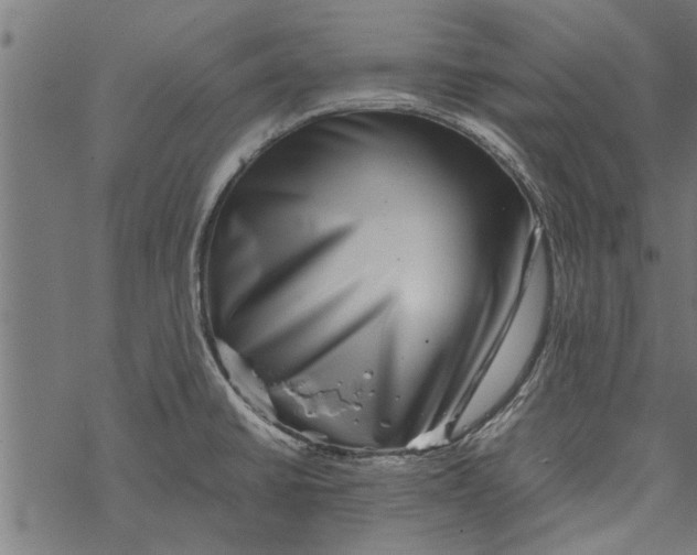 X0000067911430200605041632