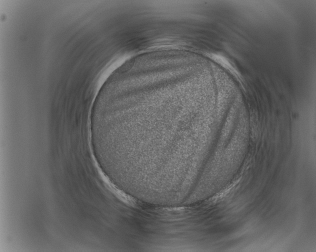 X0000067911431200605041632