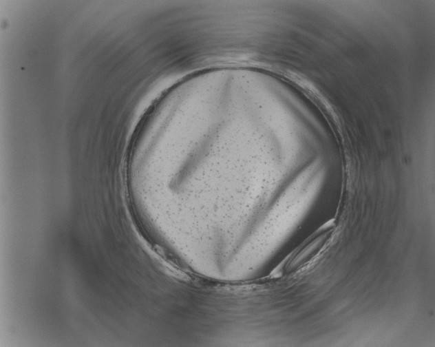 X0000067911432200605041632