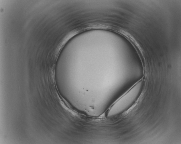 X0000067911433200605041632