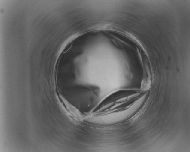 X0000067911434200605041632