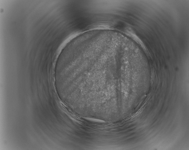 X0000067911435200605041632